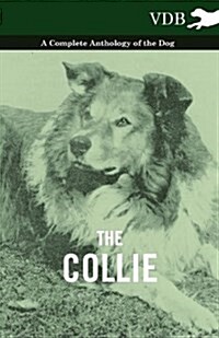The Collie - A Complete Anthology of the Dog - (Paperback)