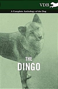 The Dingo - A Complete Anthology of the Dog - (Paperback)