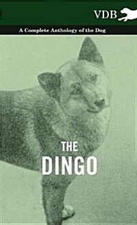 The Dingo - A Complete Anthology of the Dog - (Hardcover)