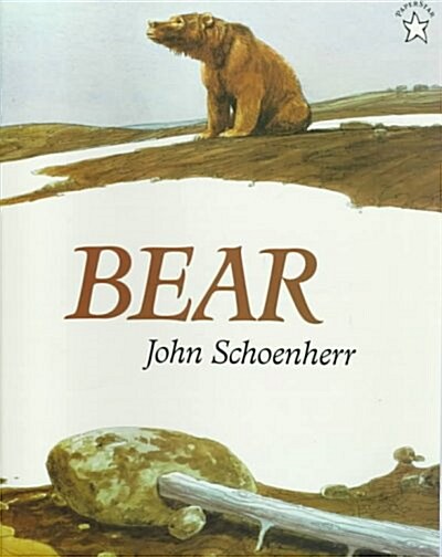 Bear (Paperback, Reprint)