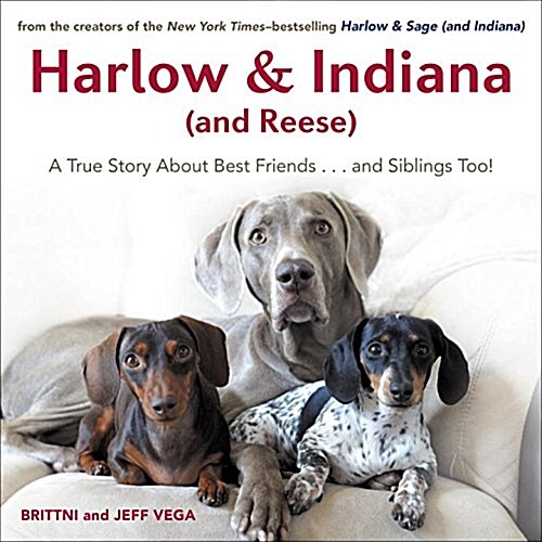 Harlow & Indiana (and Reese): A True Story about Best Friends...and Siblings Too! (Hardcover)