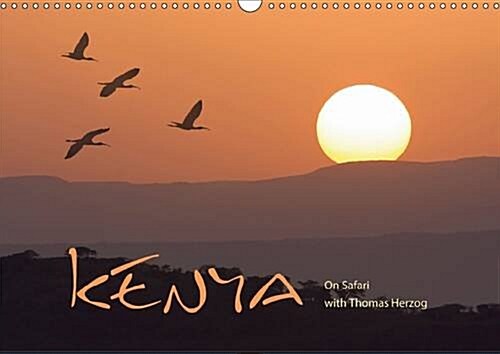 K E N Y A - UK Version : On Safari with Thomas Herzog (Calendar, 3 Rev ed)