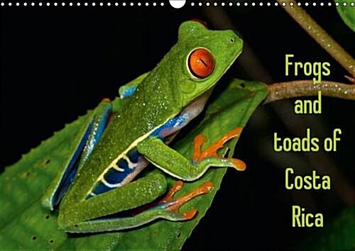 Frogs and Toads of Costa Rica / UK-Version : Colorful Frogs and Toads of Costa Rica (Calendar, 3 Rev ed)