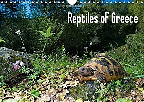 Reptiles of Greece / UK-Version : Snakes, Lizards and Tortoises of Greece (Calendar, 3 Rev ed)