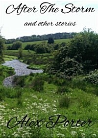 After The Storm and Other Stories (Paperback)