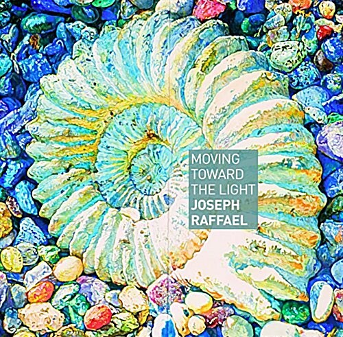 Moving Towards the Light: Joseph Raffael (Hardcover)