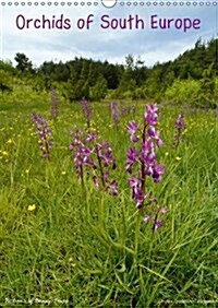 Orchids of South Europe 2016 / UK-Version : Orchids of South Europe in Pictures by Benny Trapp (Calendar, 3 Rev ed)