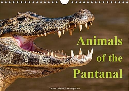 Animals of the Pantanal / UK Version : Portraits of Animals Taken from the Boat or During Deer-Stalking (Calendar, 3 Rev ed)