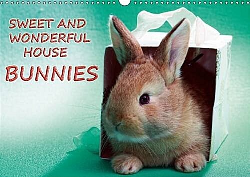 Sweet and Wonderful House Bunnies / UK-Version : Bunnies in Front of the Camera (Calendar, 2 Rev ed)