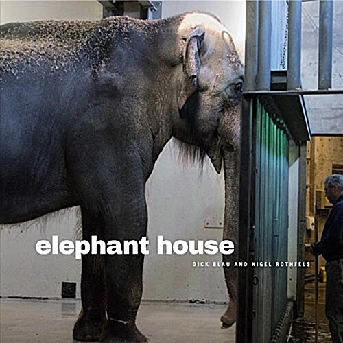 Elephant House (Hardcover)