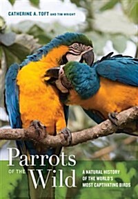 Parrots of the Wild: A Natural History of the Worlds Most Captivating Birds (Hardcover)