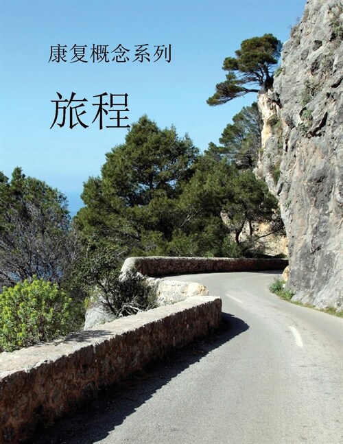 Concepts of Recovery the Journey: (Mandarin Translation) (Paperback)