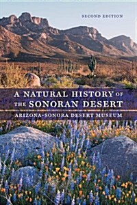 A Natural History of the Sonoran Desert (Paperback, 2)