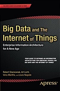 Big Data and the Internet of Things: Enterprise Information Architecture for a New Age (Paperback)