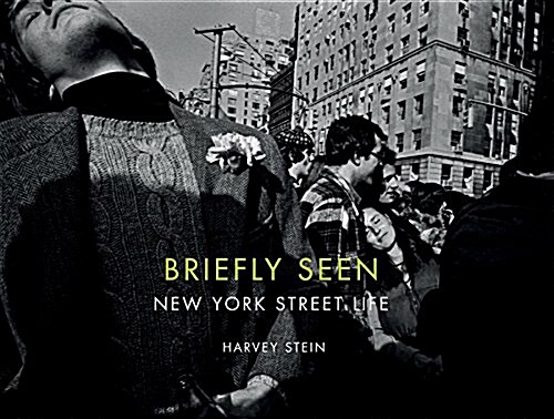 Briefly Seen: New York Street Life (Hardcover)