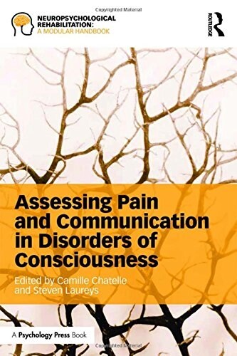 Assessing Pain and Communication in Disorders of Consciousness (Hardcover)