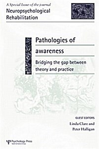 Pathologies of Awareness: Bridging the Gap between Theory and Practice : A Special Issue of Neuropsychological Rehabilitation (Paperback)
