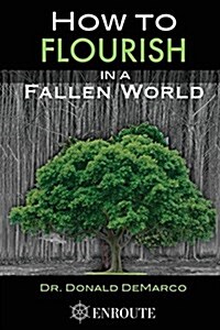 How to Flourish in a Fallen World (Paperback)