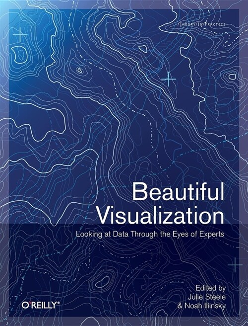 Beautiful Visualization (Paperback)