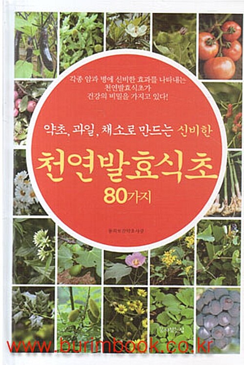 [중고] 천연발효식초 80가지