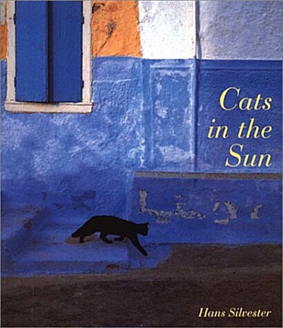 Cats in the Sun (Paperback, First Printing)