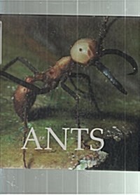 Ants (Library)