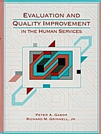 Evaluation and Quality Improvement in the Human Services (Hardcover)