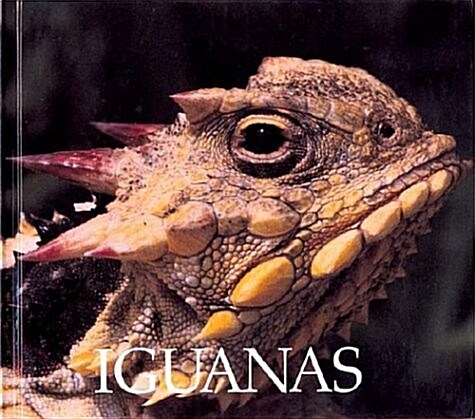 Iguanas (Library)