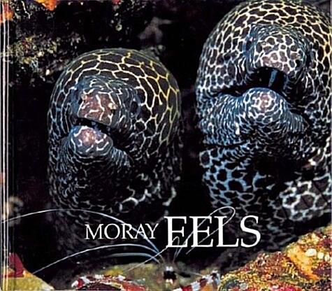 Moray Eels (Library)