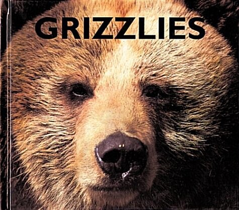 Grizzlies (Library)