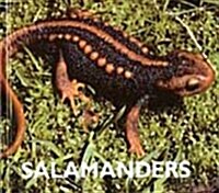 Salamanders (Library)