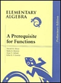 Elementary Algebra (Paperback, Preliminary)