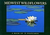 Midwest Wildflowers (STY, POS)