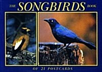 Song Birds (STY, POS)