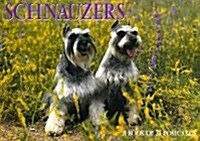 Schnauzers (STY, POS)