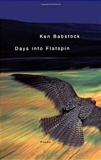 Days Into Flatspin (Paperback)