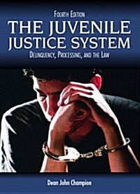 The Juvenile Justice System (Hardcover, 4th, Subsequent)