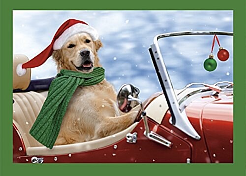 Holiday Doggie Driver Boxed Holiday Cards (STY, BOX, GCR)