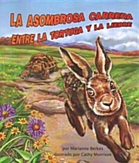 La Asombrosa Carrera Entre La Tortuga Y La Liebre (Tortoise and Hares Amazing Race) (Paperback)