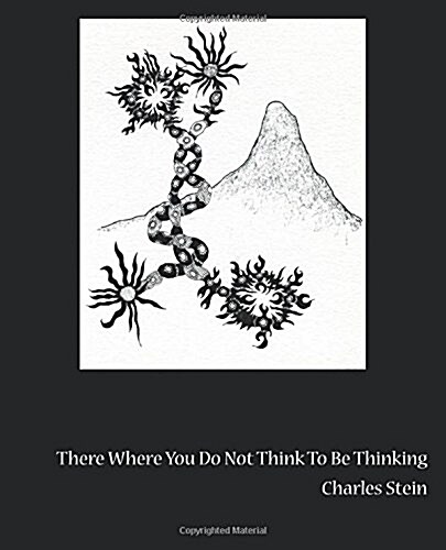 There Where You Do Not Think to Be Thinking: Views from Tornado Island, Book 12: (From Theforestforthetrees) (Paperback)
