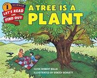 A Tree Is a Plant (Paperback)