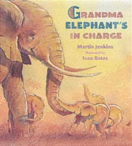 Grandma Elephants in Charge (Hardcover)