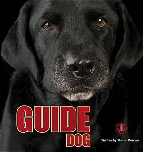 Guide Dog (Paperback)