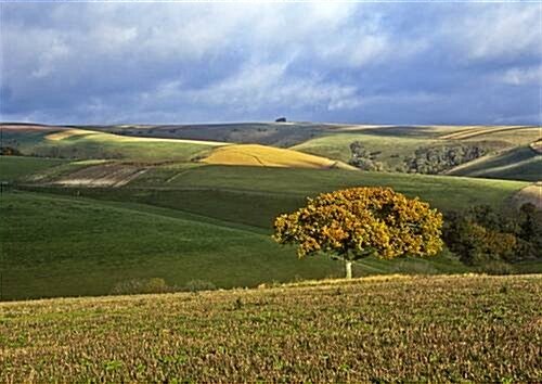 Cranborne Chase : A Secret Landscape (Paperback)