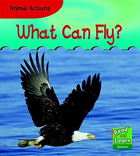 What Can Fly? (Paperback, New ed)