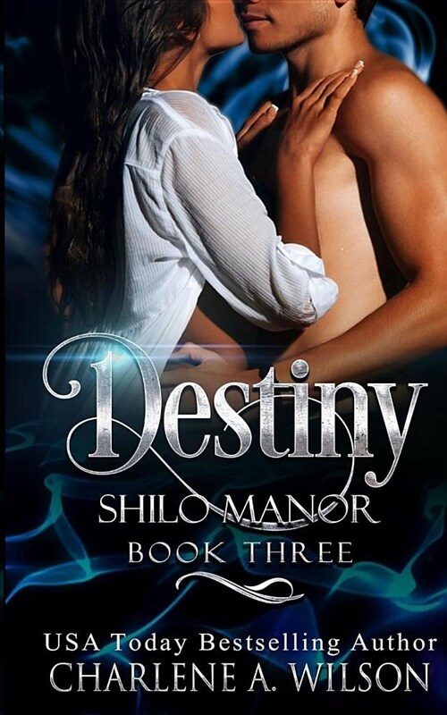 Destiny: Multi-Dimensional Soul Mates (Paperback)