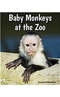 Baby Monkeys at the Zoo (Paperback)