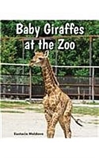 Baby Giraffes at the Zoo (Paperback)