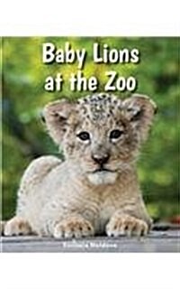 Baby Lions at the Zoo (Paperback)