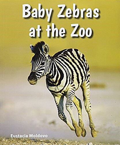 Baby Zebras at the Zoo (Paperback)